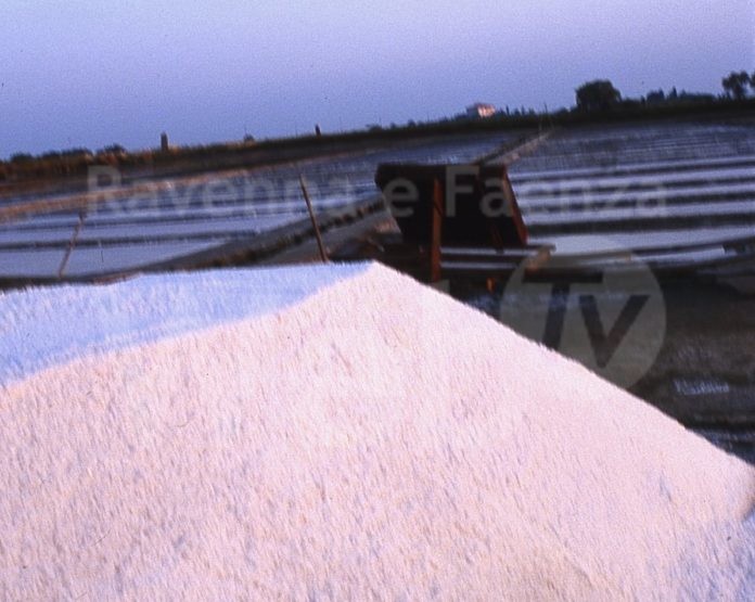 cervia salina camillone2