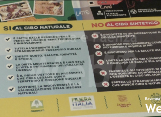 20 mila firme in Romagna contro gli alimenti sintetici: Coldiretti organizza incontro per parlare di sacralità del cibo