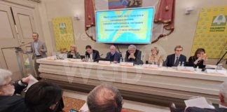 Coldiretti nasce attorno alla famiglia contadina cattolica