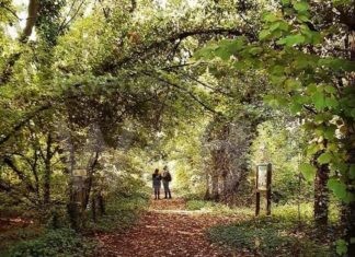 Bagnacavallo: Festa d’autunno di Giardino e dintorni