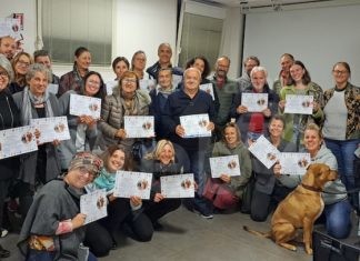 Animali d’affezione e società: Corsi e iniziative per una gestione consapevole degli amici a quattro zampe