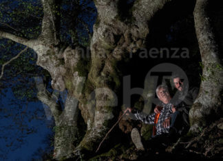 Festa degli alberi: il fotografo Isacco Emiliani parla agli studenti delle scuole superiori di Lugo del suo libro Ottantuno
