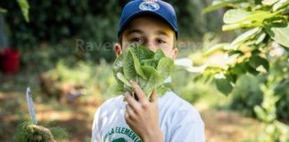 Festa nazionale degli orti in condotta Slow Food: Un grande impegno per i bimbi e i nonni ortolani della scuola Riccardo Ricci di Ravenna