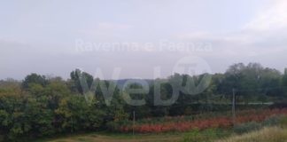 Foliage nei dintorni di Tebano