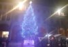 Acceso l’albero di Natale di Faenza decorato con 10 mila pixel animati