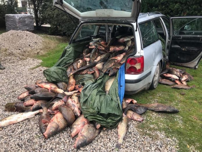 22-12-02 Operazione antibracconaggio ittico