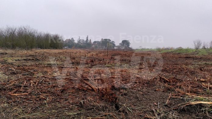 316551102_10230767568716520_8578401352486503473_n