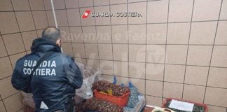 Due tonnellate e mezzo di prodotto ittico sequestrato, 80mila € di sanzioni e più di 500 controlli dalla Guardia Costiera