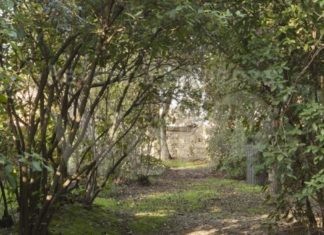 Due visite ludico-didattiche al Giardino pensile della Rocca. Una proposta natalizia di Vivi il Verde