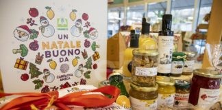 Agrilaboratori natalizi, degustazioni e tutor della spesa delle feste al Mercato Contadino Coperto di Campagna Amica