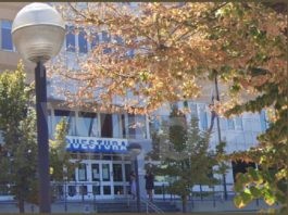 Daspo Willy e D.A.Cur.: due provvedimenti del Questore per fatti avvenuti a Bagnacavallo e Ravenna