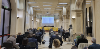 Ecomafia 2022: la criminalità ambientale raccontata nel report di Legambiente