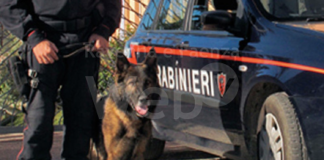 Tre giovani in possesso di hashish e marijuana, ritirate le patenti e segnalati come assuntori di droga