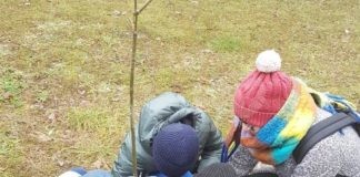 Marina di Ravenna, piantumati 16 alberi insieme agli studenti della primaria Mameli
