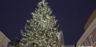 Acceso l’albero di Natale in Piazza del Popolo