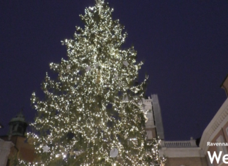 Acceso l’albero di Natale in Piazza del Popolo
