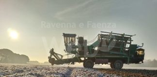 11° Report annuale delle Cooperative Agricole Braccianti (CAB) della provincia di Ravenna