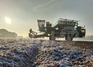 11° Report annuale delle Cooperative Agricole Braccianti (CAB) della provincia di Ravenna