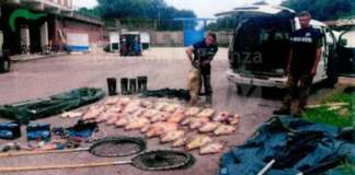 Antibracconaggio ittico: sequestrati 1.600 kg di pesce