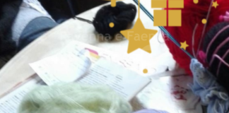 Cervia, Ecomuseo: il 28 dicembre evento gratuito di mindfulness e meditazione