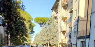 Provoca un incidente e si allontana dal pronto soccorso prima di essere sottoposta agli esami dell’alcoltest