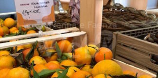 Vitamina Day, un succo di salute al Mercato di Campagna Amica