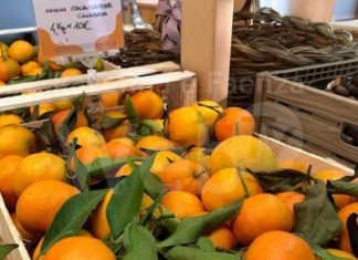 Vitamina Day, un succo di salute al Mercato di Campagna Amica