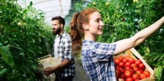 Bando Pacchetto Giovani Agricoltori: Oltre un milione e 300mila euro per le aziende Under 40