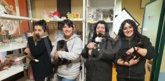 Infermeria felina di Bizzuno, il bilancio del 2022