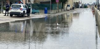 Lidi e foresi, Ravenna in Comune: senza marketing politico, continua l’abbandono