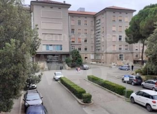 Caso di West Nile a Conselice: anziano ricoverato in ospedale