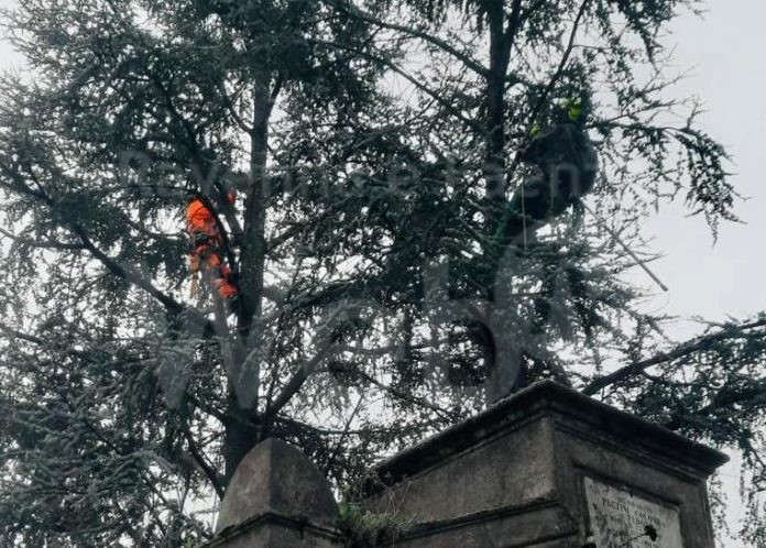 PHOTO-2023-01-09-13-32-49