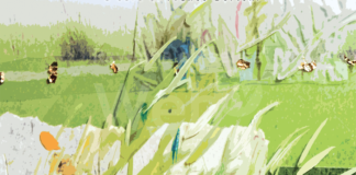 “Storie giorno dopo giorno”. La mostra di Maurizio Pilò al Museo Ugonia