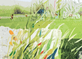 “Storie giorno dopo giorno”. La mostra di Maurizio Pilò al Museo Ugonia