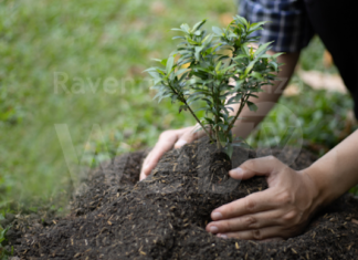 Dal seme alla frutta, nuovo appuntamento presso il Podere OrtInsieme
