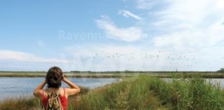 Turismo accessibile al via il percorso formativo online per gli operatori del distretto costiero