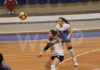Volley: La Fenix inizia il girone di ritorno con una vittoria
