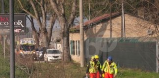 Bambino aggredito da pitbull, l’opposizione chiede una commissione consigliare per discutere sulla sicurezza del canile