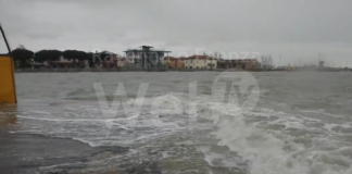 Maltempo: ingressione marina a Lido Adriano e Lido di Savio. Diversi interventi per alberi pericolanti