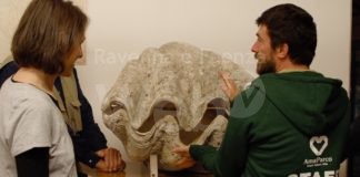 Prorogata al 20 febbraio la scadenza per candidarsi al Servizio Civile Universale