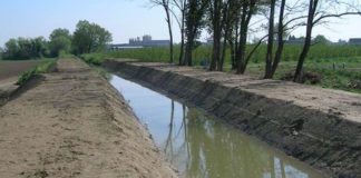 Fusignano: al via i lavori per il ripristino delle scarpate del canale consortile Marocche