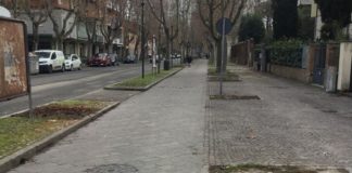 Ancisi (LpRa): Tornano 39 alberi decimati, nei viali della Stazione e in piazza Rosmini