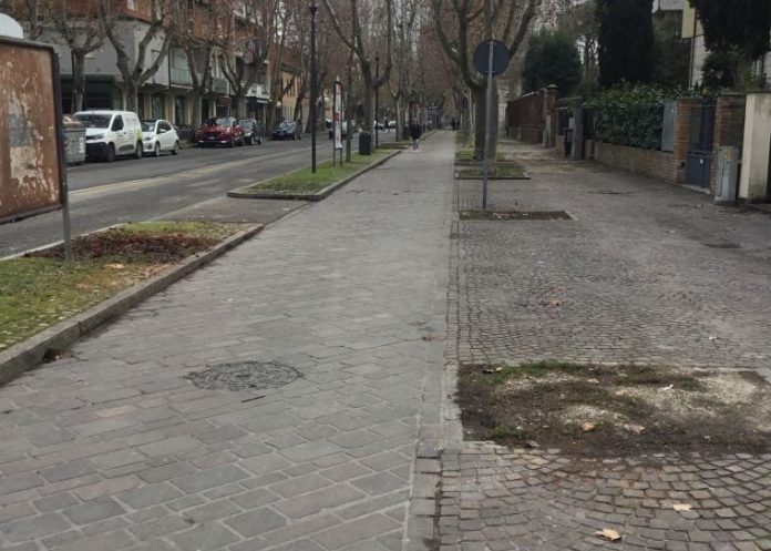 Alberi abbattuti viali della stazione (foto 1)