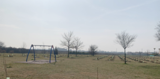 A Conselice 1.600 nuove piante grazie anche a “ECO Alberi”, il progetto di forestazione urbana del Gruppo Hera