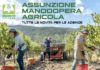 Coldiretti: Assunzione manodopera agricola