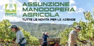 Coldiretti: Assunzione manodopera agricola