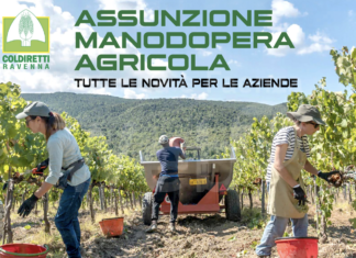 Coldiretti: Assunzione manodopera agricola