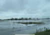 Terreni allagati e salinità: le Cooperative Agricole Braccianti di Ravenna lanciano l’allarme sull’ingressione del mare