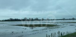 Ravenna in Comune: agro salino