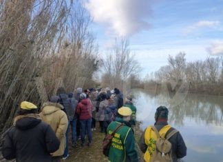 Straordinaria affluenza alla celebrazione della Giornata Mondiale delle zone umide a Punte Alberete